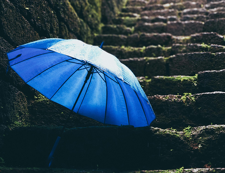 umbrellaaa